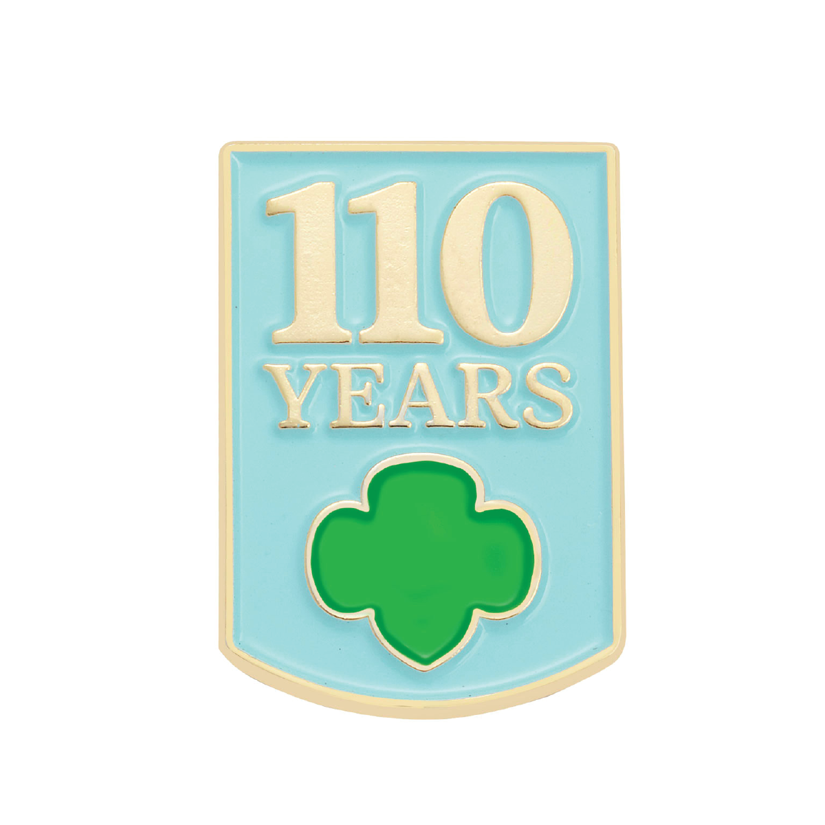 110 Years Pin