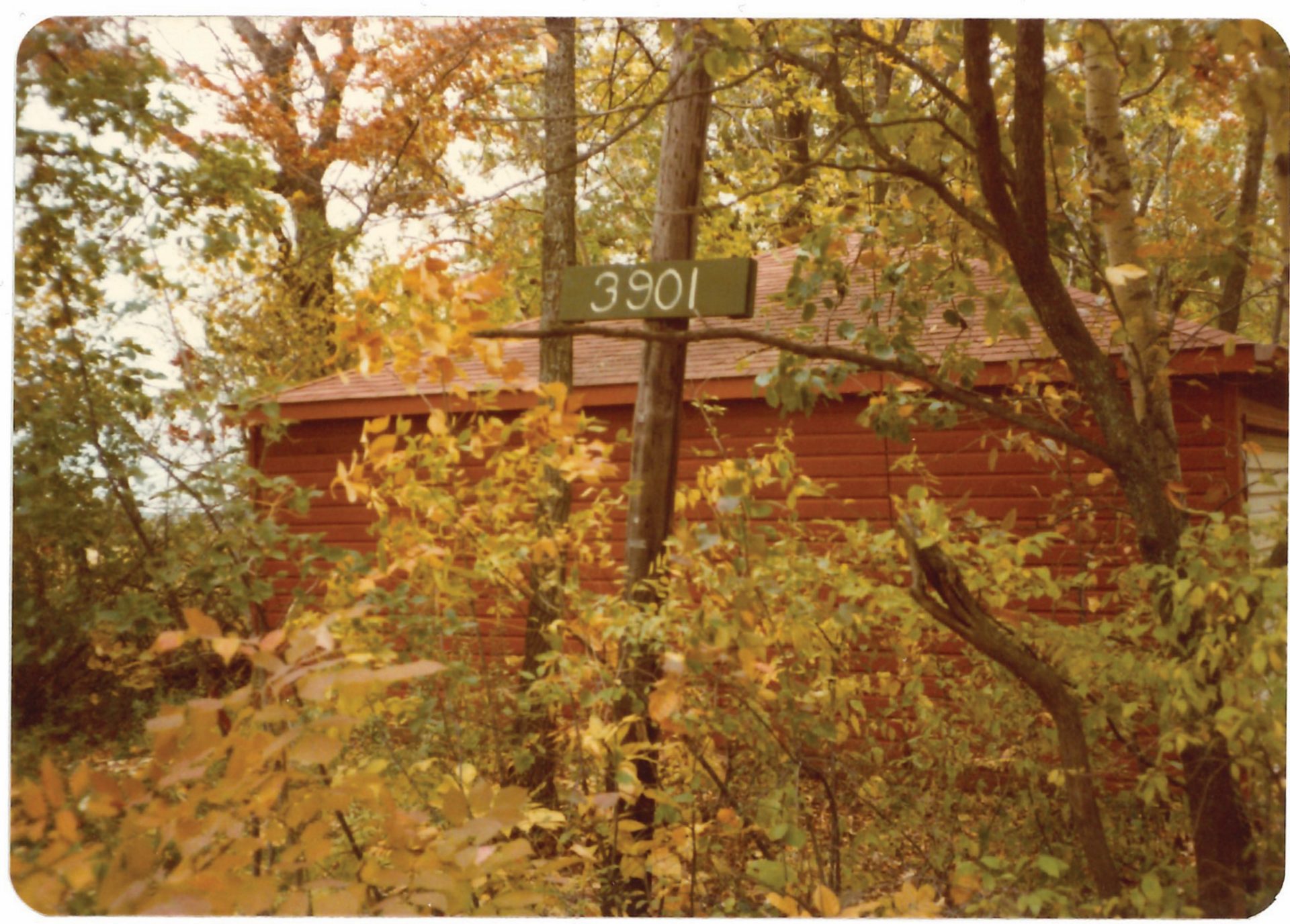 vintage photo of trefoil oaks property