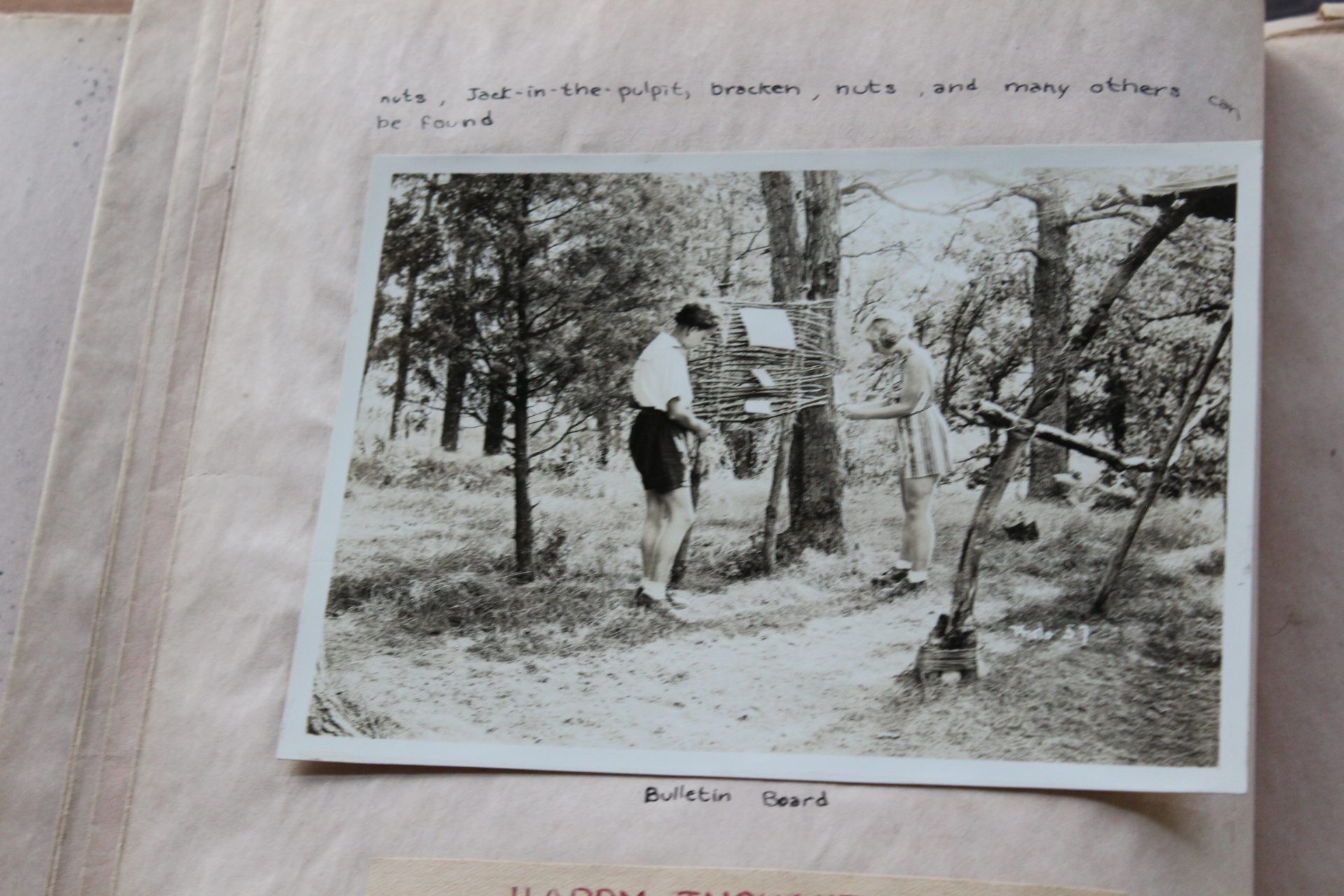 vintage black and white two girl scouts at camp