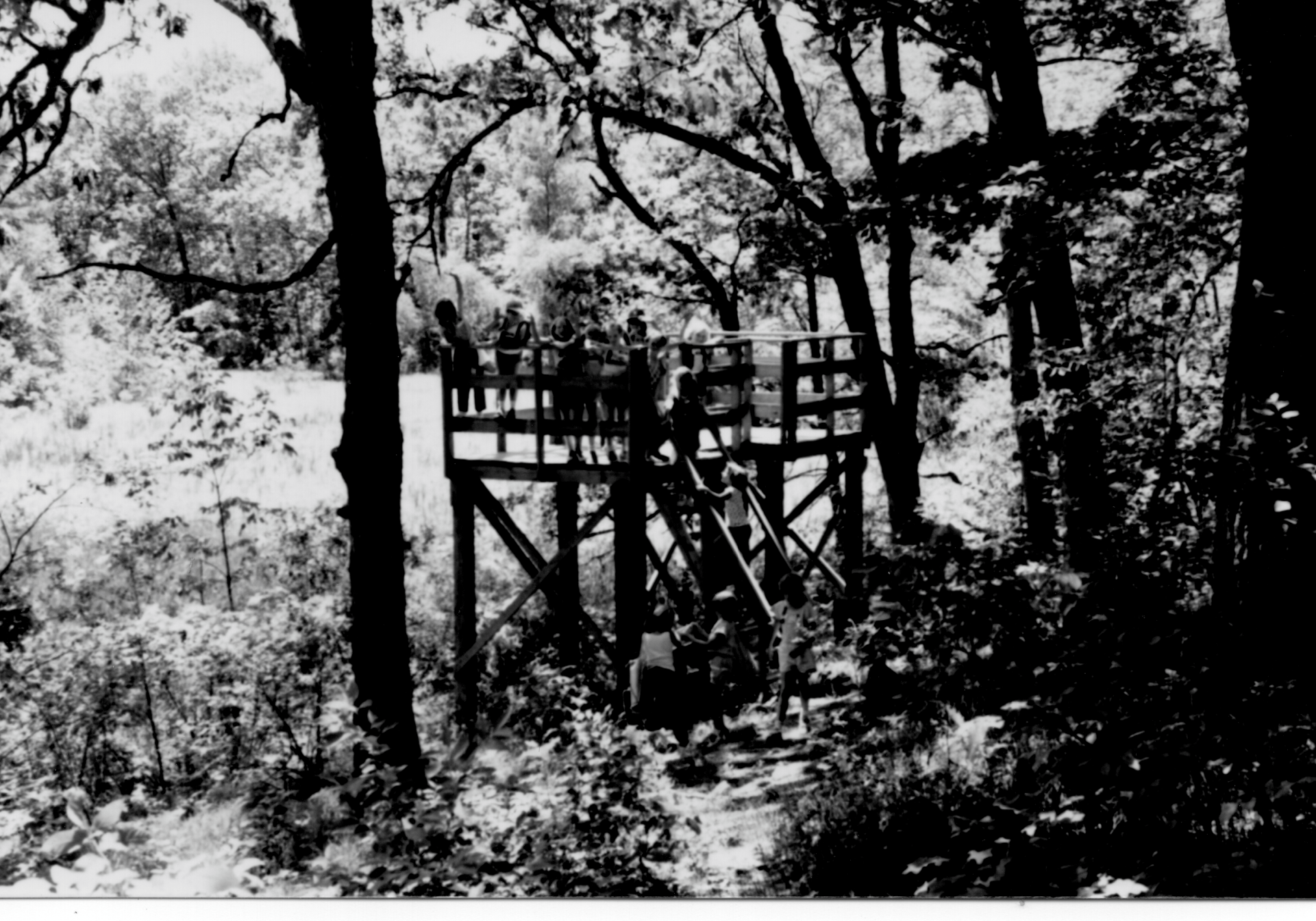 vintage black and white photo of camp alice chester
