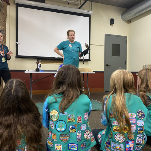 presenter talking about owls with owl on arm in front of junior girl scouts